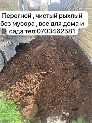 слива фрукты: Перегной для дома и сада. - Чистый, рыхлый, без мусора - Подходит для — 1