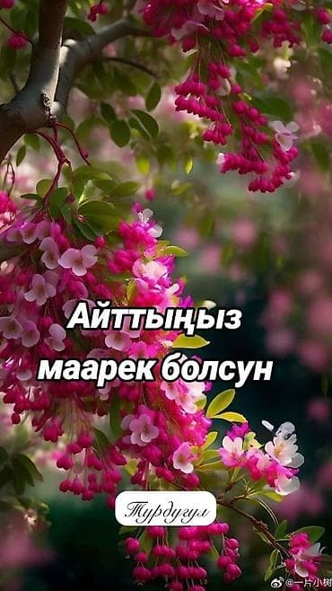 Набор №24 Faberlic и Soo-Yun для дома и ухода (акция -20%) Состав at lalafo.kg Набор №24 Faberlic и Soo-Yun для дома и ухода (акция -20%) Состав