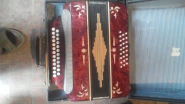 Баян или гармонь :) сост норм