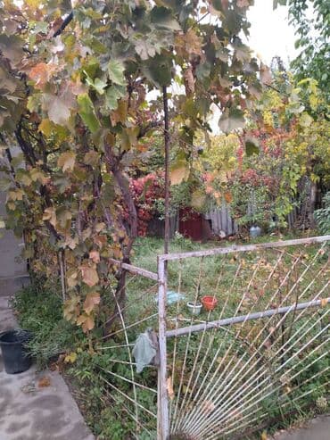 куплю токмоке дом улица ленина: Полдома, 65 м², 3 комнаты, Риэлтор, Косметический ремонт — 28
