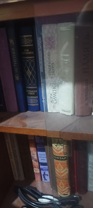 local guide program: Коллекция художественной и справочной литературы (бумажные книги — 5