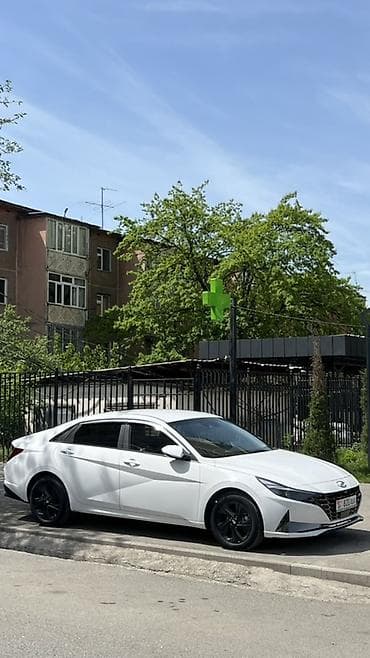 аванье: Hyundai Avante: 2023 г., 1.6 л, Автомат, Газ, Седан — 6