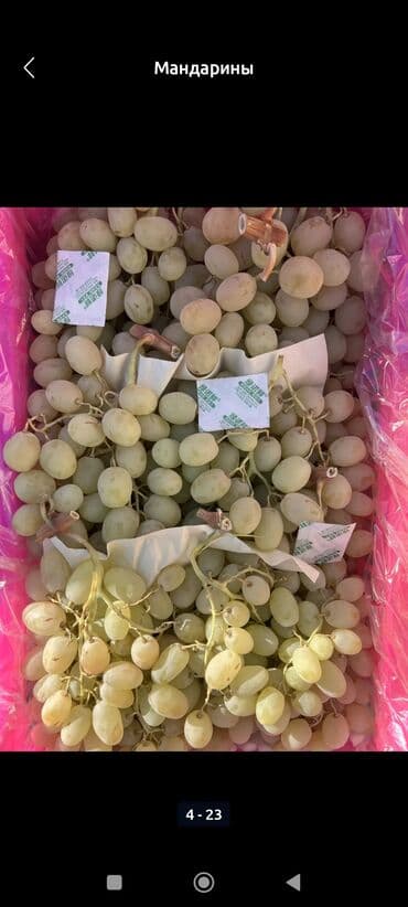 семена тюльпана: Мандарины Оптом — 7