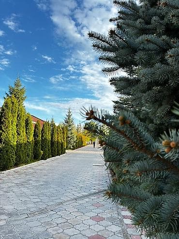 sky park: Гостиница на Иссык-Куле, ЦО Париж, Париж, Чок-Тал — 3