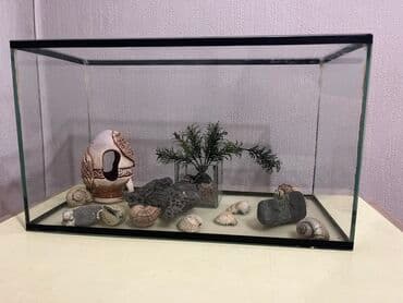 домики с когтеточкой для кошек: Аквариум
Объем 20 литров 
41 длина, 19 ширира, 25 высота — 1