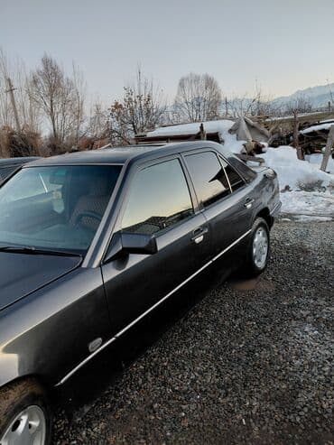 моющий пылесос для химчистки салона автомобиля бу: Mercedes-Benz W124: 1990 г., Седан — 4