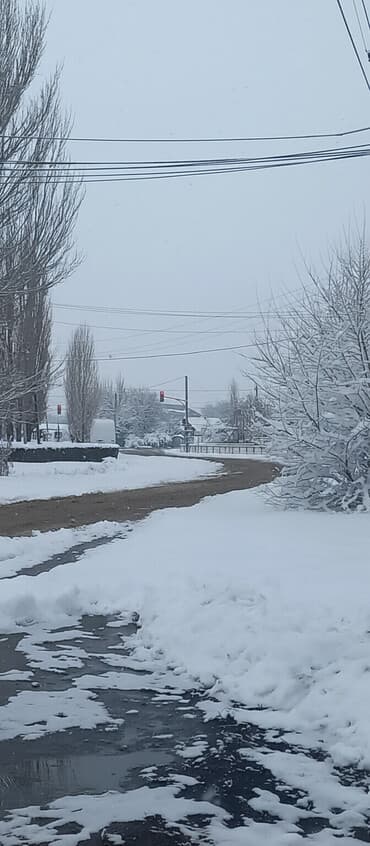 Туристические услуги: Уборка территории, Уборка снега — 2