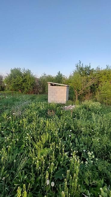 Земельные участки: 67000 соток, Для сельского хозяйства, Договор купли-продажи — 4