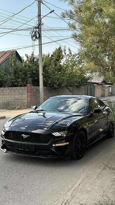 купить tucson: Ford Mustang: 2021 г., 2.3 л, Автомат, Бензин, Купе — 2