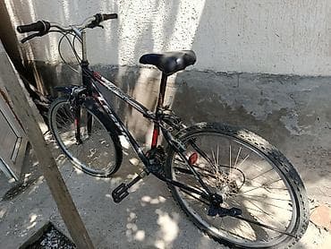 кыргыз тили 1: Тоо велосипеди, Lespo, Болот — 2