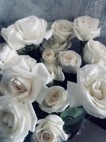 Авторские букеты и композиции из срезанных цветов - Светлые at lalafo.kg Авторские букеты и композиции из срезанных цветов - Светлые