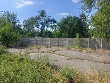 bazar korgon: Сдаю в аренду помещения, Жайылский район село Новониколаевка от — 5