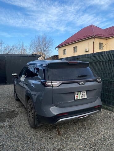 диск на гольф: Weltmeister W6, 2022 г., 70000 км, Передний — 4