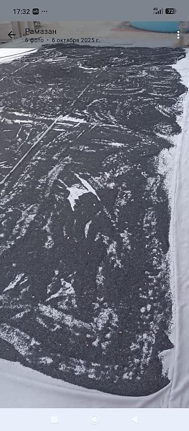 Здоровое питание: Чёрный тмин (Nigella sativa) — очищенные и просушенные семена — 1