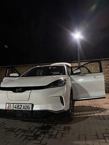 электро грузовой муравей: Weltmeister EX5, 2020 г., 260000 км, Передний, В наличии — 6