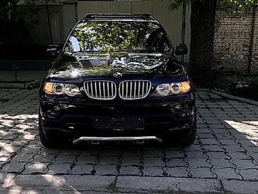 BMW X5: 2004 г., 4.4 л, Автомат, Бензин, Кроссовер