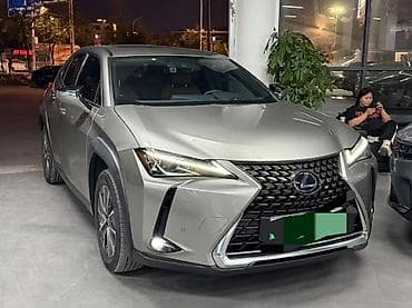 меняю с вашей доплатой: Lexus UX: 2022 г., Автомат, Электромобиль, Кроссовер — 10