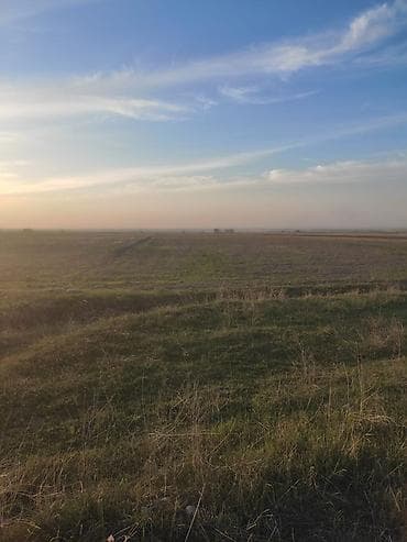 Земельные участки: 160 соток, Для сельского хозяйства, Договор купли-продажи — 3