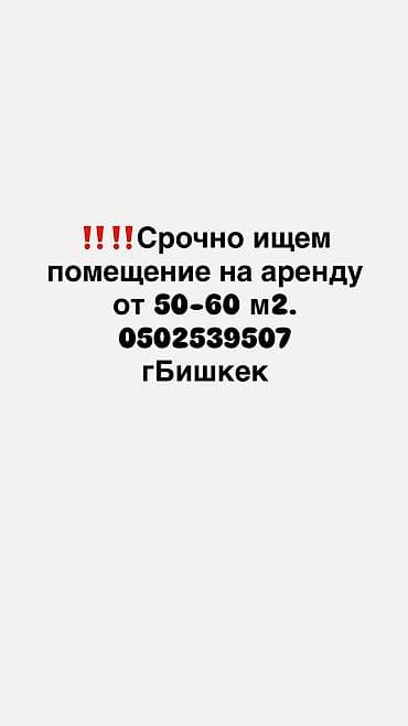 недвижимост: Ищем помещение в аренду в г. Бишкек. Требования: - Площадь: 50–60 м² — 1
