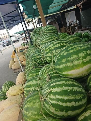 Арбузы Оптом, Самовывоз at lalafo.kg Арбузы Оптом, Самовывоз