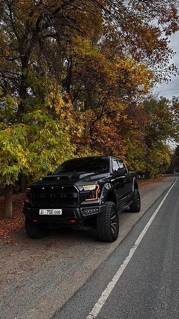 борон мала: Ford F-150: 2016 г., 2.7 л, Автомат, Бензин, Пикап — 3