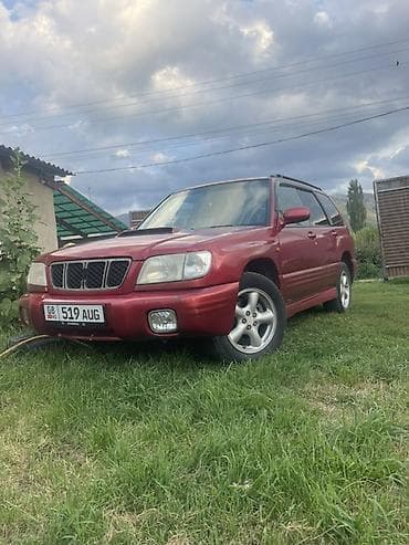 форестер 2009: Subaru Forester: 2000 г., 2 л, Автомат, Бензин, Универсал — 1