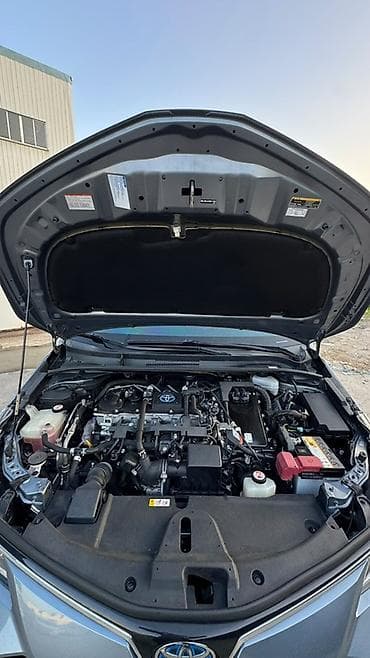 haynes pro: Toyota Corolla: 2021 г., 1.8 л, Автомат, Гибрид, Седан — 9