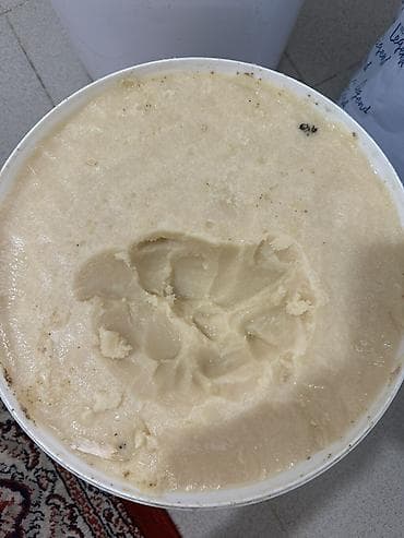 бал кымыз цена: Горный мёд Ыссыккульский 1 кг по 600 с — 1