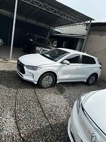 devo matiz: JMEV : 2021 г., Электромобиль, Кроссовер — 9
