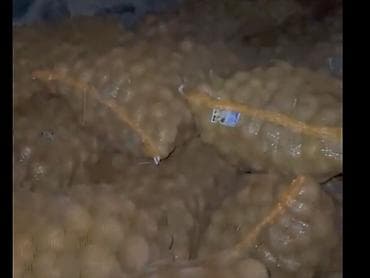 Крупы, мука, сахар: Картошка Джелли, Оптом — 1