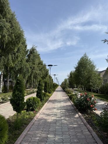 центр отдыха улитка иссык куль: Коттедж, | Asia Palace, Сары-Ой, Балдар аянтчасы, Унаа токтотуучу жай, унаа туруучу жай, Коргоодогу аймак — 14