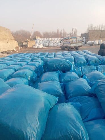 корм для форели купить: Кукурузный силос в мешках - Силос из кукурузы, измельчённый и — 4