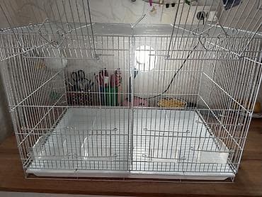 салома тук: Продам двух местную клетку,ХОРОШЕЕ СОСТОЯНИЕ!!! большая,с кормушками — 2