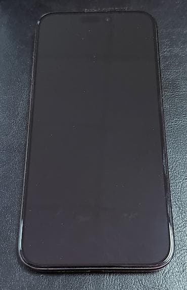 IPhone 15 Pro Max, Колдонулган, 256 ГБ, Black Titanium, Коргоочу айнек, Куту, 83 % — 2