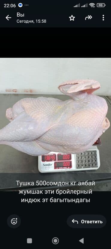 часы настенные цена в бишкеке: Индюк :, Более 10 кг, Платная доставка — 1