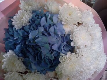 работа удаленно с телефона: Ищу подработку, почасовая оплата, Бишкек, девушка — 1