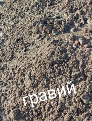 Шагыл шагыл шагыл шагыл шагыл шагыл шагыл шагыл шагыл шагыл шагыл at lalafo.kg Шагыл шагыл шагыл шагыл шагыл шагыл шагыл шагыл шагыл шагыл шагыл