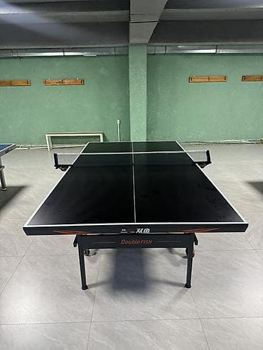 Профессиональный стол для настольного тенниса Double Fish - Игровая