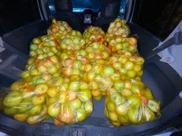 удобрения для клубники: Яблоки — 2