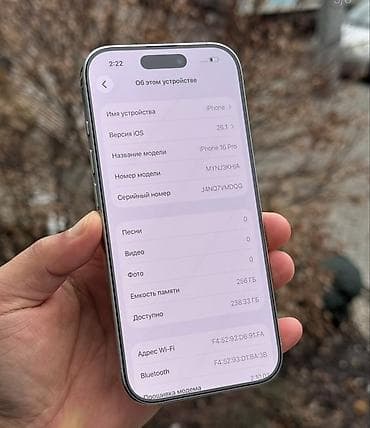 ipad 2017: IPhone 16 Pro, 256 ГБ, Белый, Зарядное устройство, Защитное стекло, Чехол, 92 % — 2
