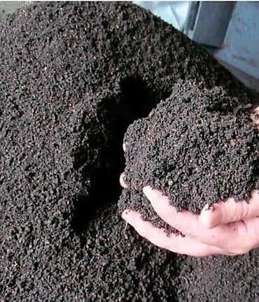 земля грунт: Биогумус - Мелкая рассыпчатая структура, тёмный цвет, без крупных — 1