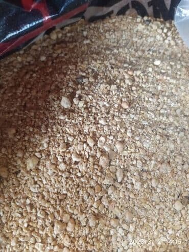 собаки рынок в бишкеке цены: Продаю рыбную муку два вида Российская и Казахстанская подсолнечный — 8
