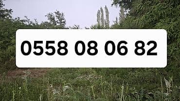 детский сад арча бешик: 8 соток, Кызыл китеп — 3