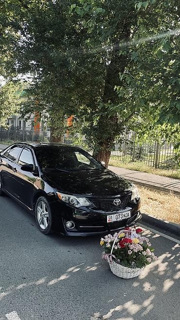 camry 2015: Toyota Camry: 2013 г., 2.5 л, Автомат, Бензин, Седан — 1