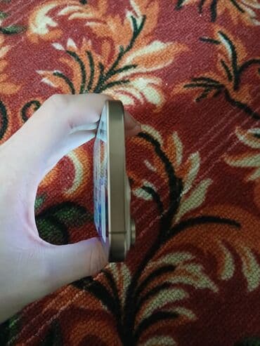 Паркет: IPhone 16 Pro Max, 256 ГБ, Desert Titanium, Коробка, 95 % — 8