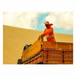 фото албом: Nikon COOLPIX S2600 Подходит для фотодневника, пейзажей, портретов — 25