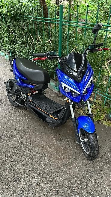 скутер электро: Электроскутер AUCMA Eco Bike, синий цвет. Особенности и комплектация — 3