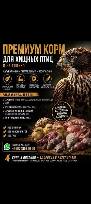 Корм для хищных птиц. Натуральный, питательный белок. Идеальный