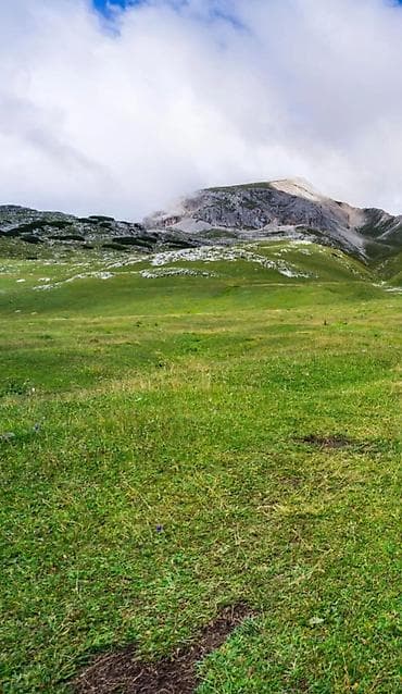 животные кара балта: Продаю | Овца (самка) — 3