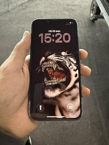 IPhone 13 Pro, Колдонулган, 256 ГБ, Графит, Коргоочу айнек, Каптама, 84 % — 1